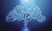 树描绘网络