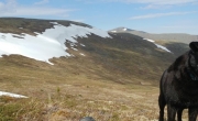 Boreal article image -- hiking in AK