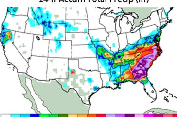 Conus